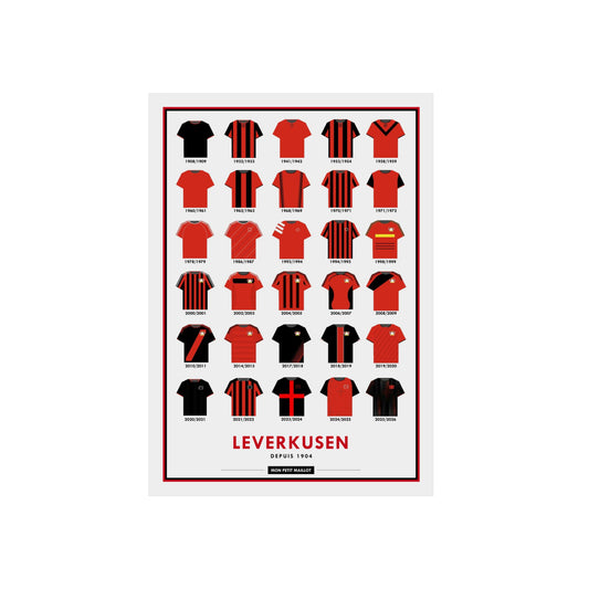 Poster en métal Leverkusen